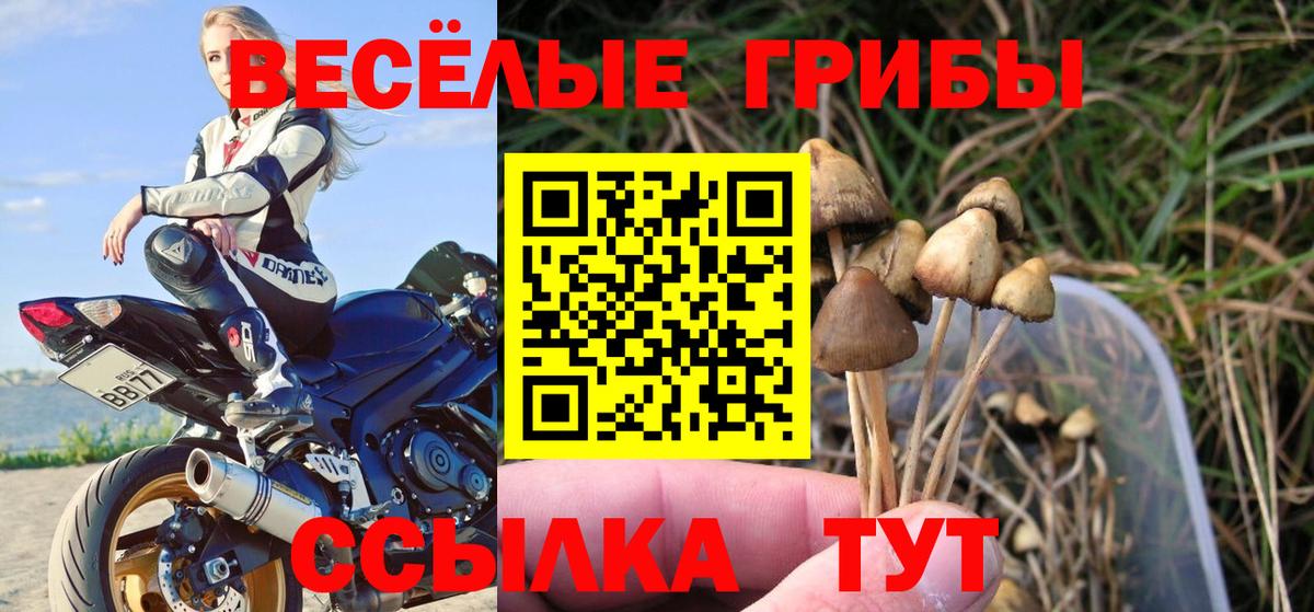 Псилоцибиновые грибы Magic Shrooms  Вход с VPN  Среднеуральск 